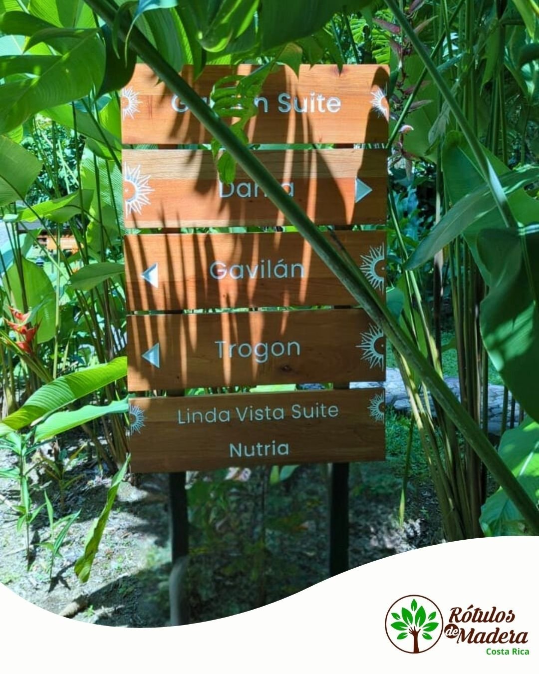 Rótulo de sendero con estética natural — instalación en campo real